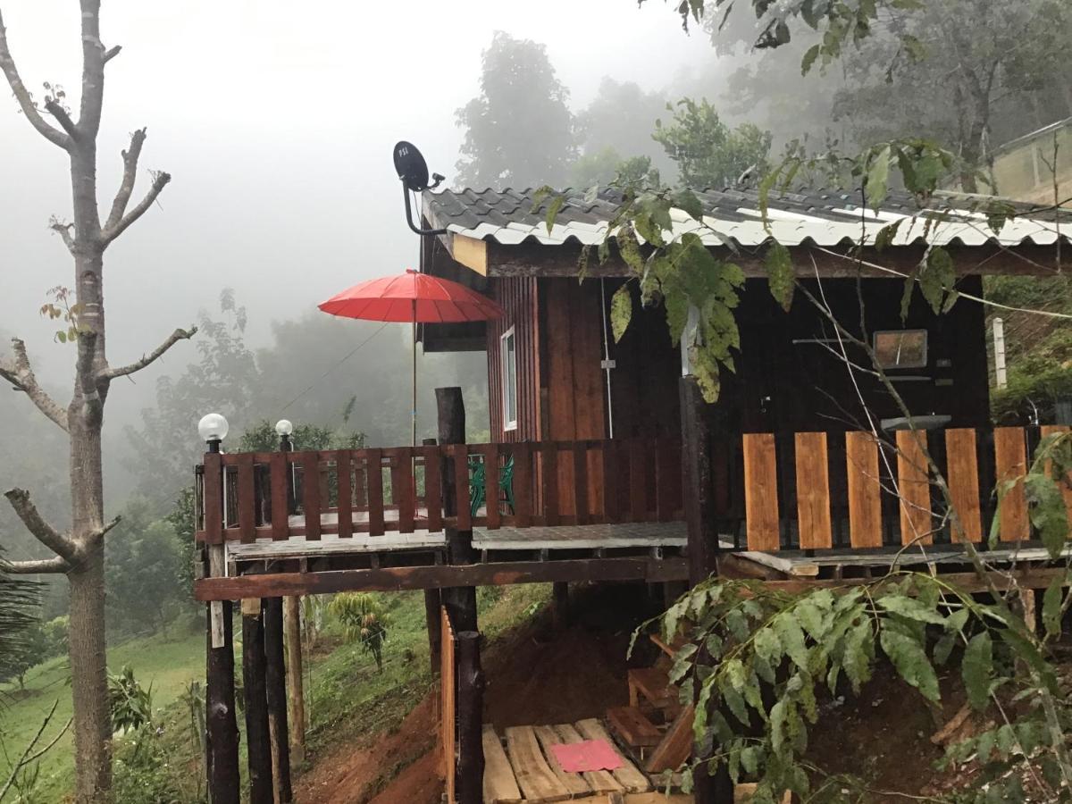 Forest Guesthouse Samoeng Exterior photo