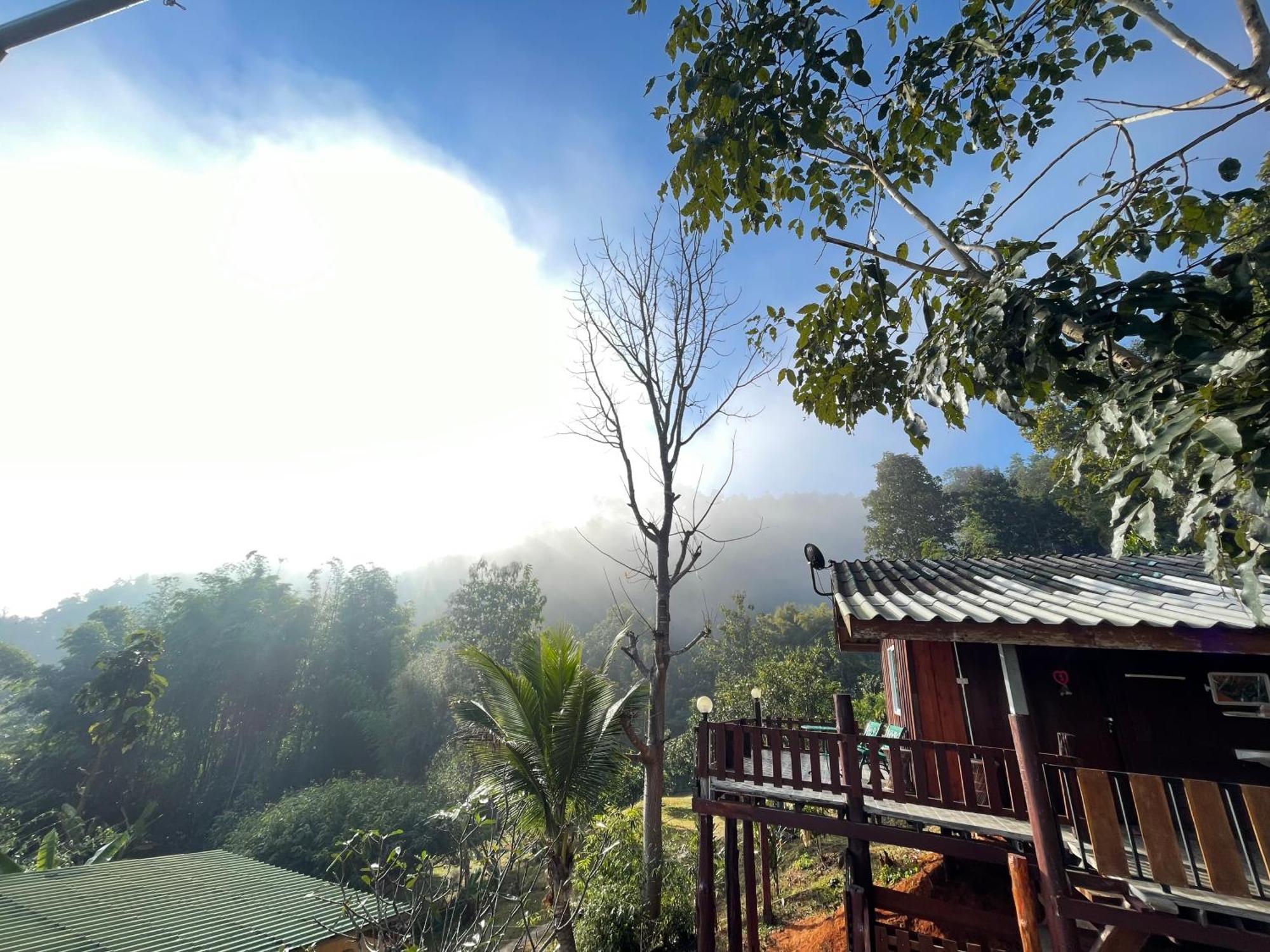 Forest Guesthouse Samoeng Exterior photo