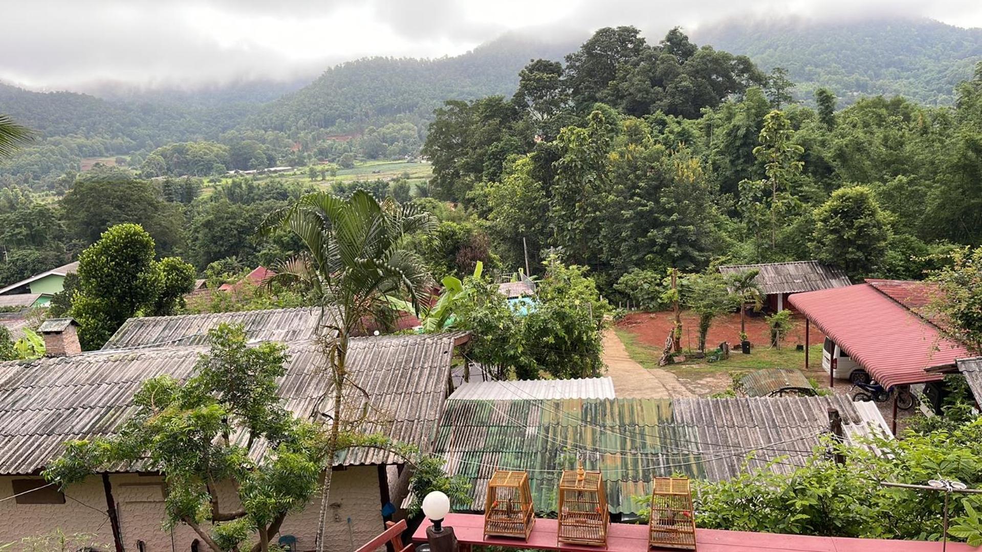 Forest Guesthouse Samoeng Exterior photo